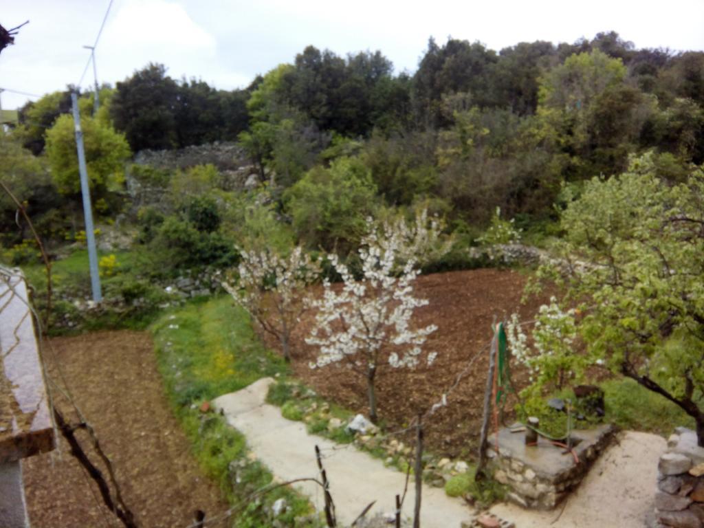 Holiday Home Loznati 크레스 외부 사진